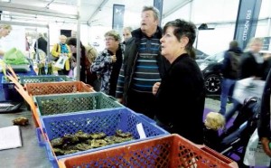 Entre la dégustation d’huîtres et une séance de maquillage, les promeneurs ont découvert un éventail d’exposants qui présentaient leur savoir-faire.