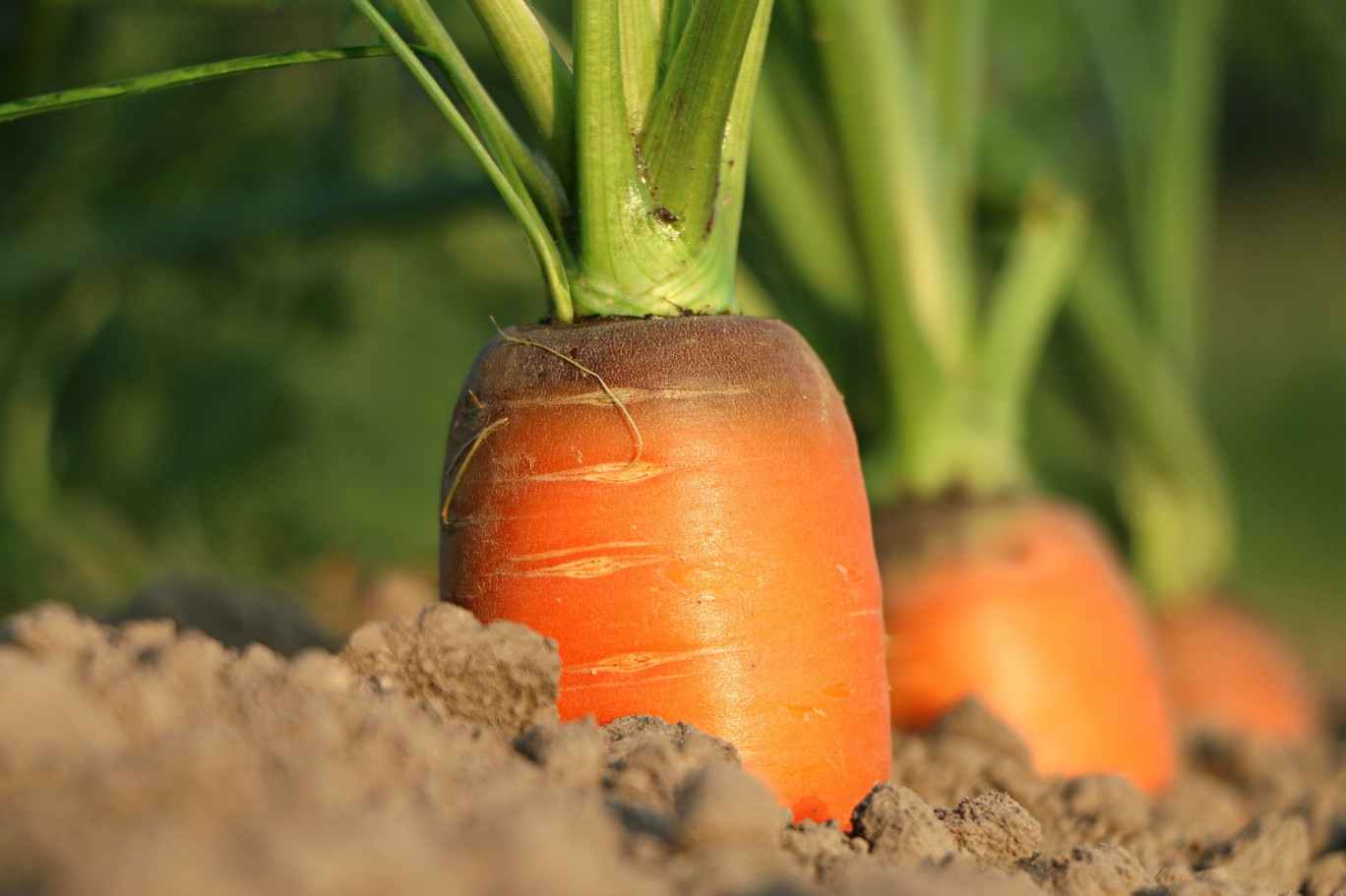 Recensement agricole dans les Hauts-de-France