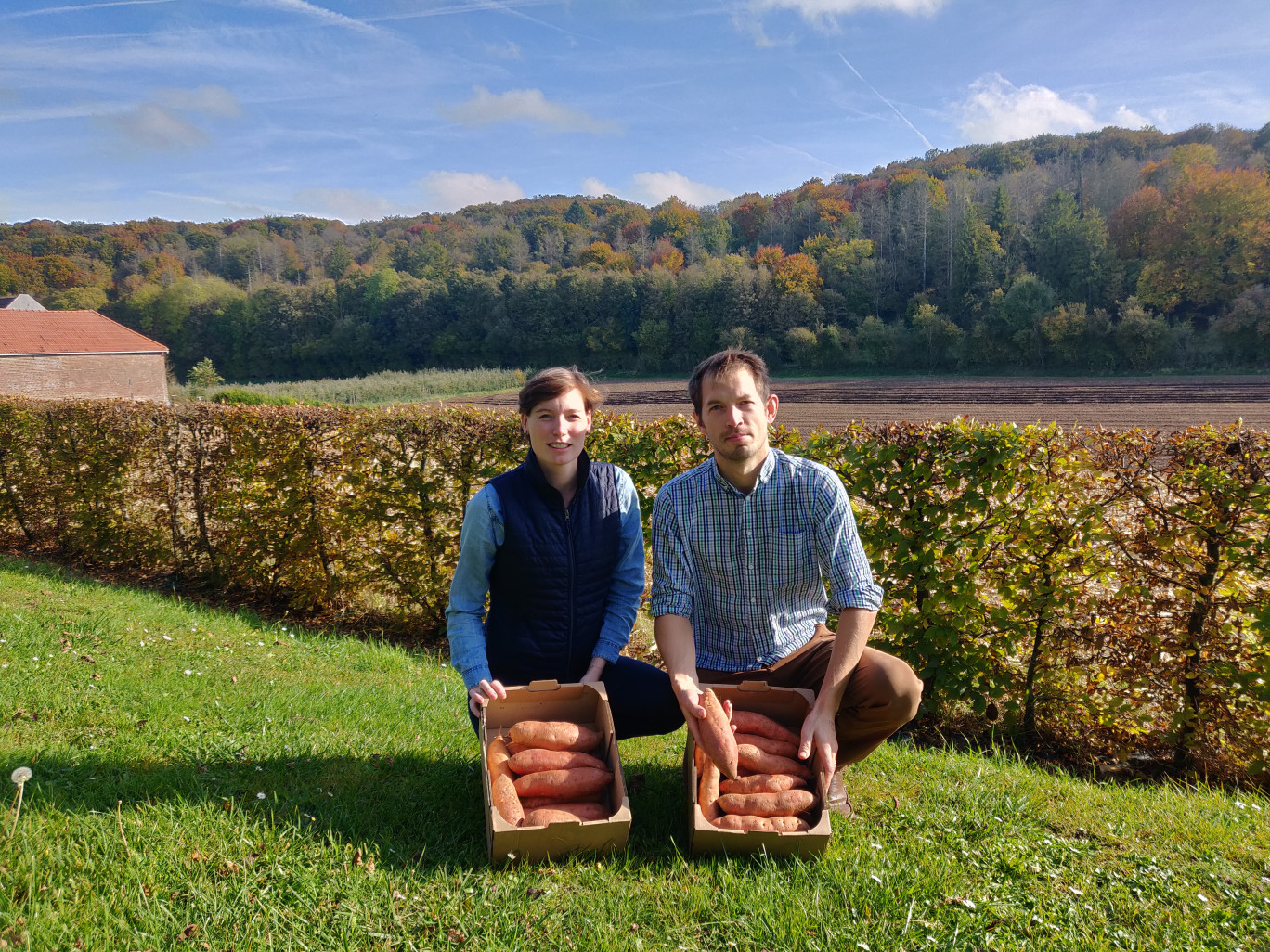 Hélène et Gilles Henne-Fievez cultivent un hectare de patate douce.