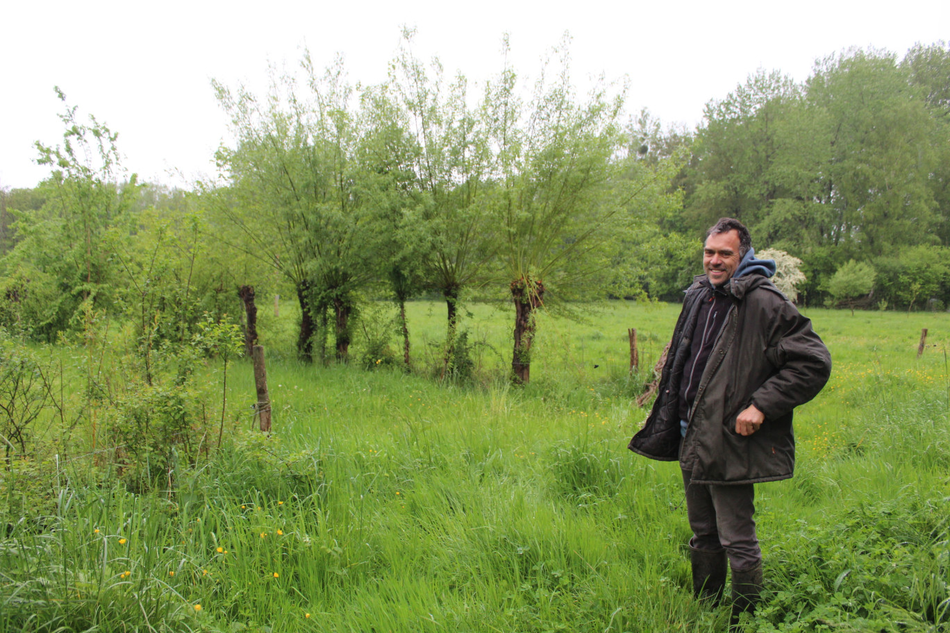 Adrien Messéan pratique l'agroforesterie dans son élevage situé à la ferme de Montchevillon à Oulchy-la-Ville.