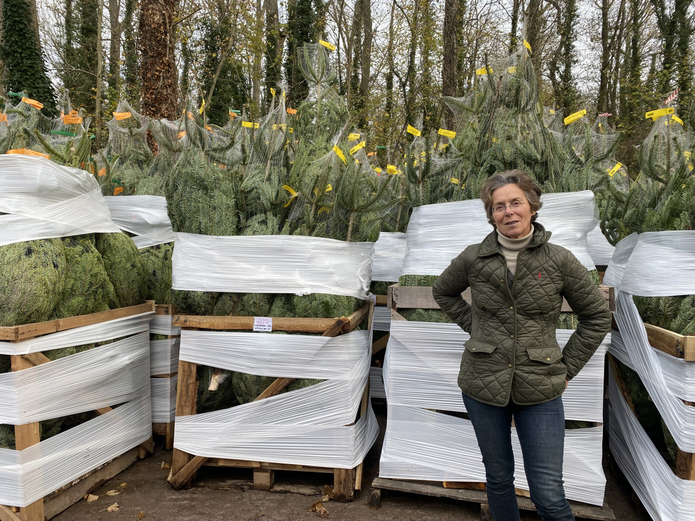 Des sapins en partance vers les points de revente.