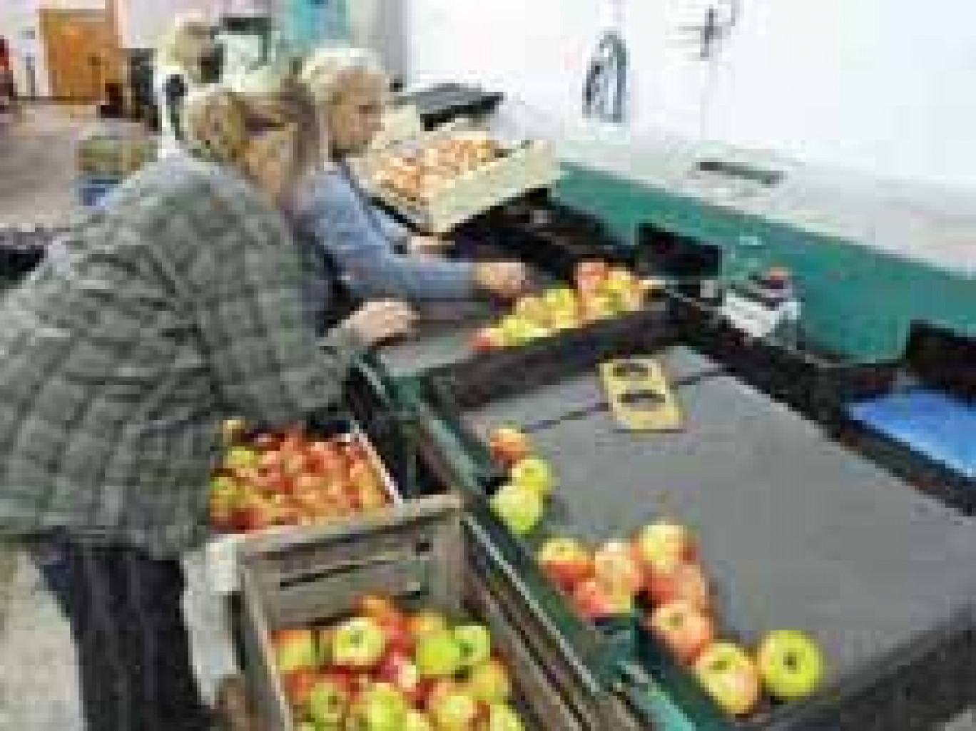 L’entreprise livre directement les grandes surfaces dans le sud de l’Aisne.