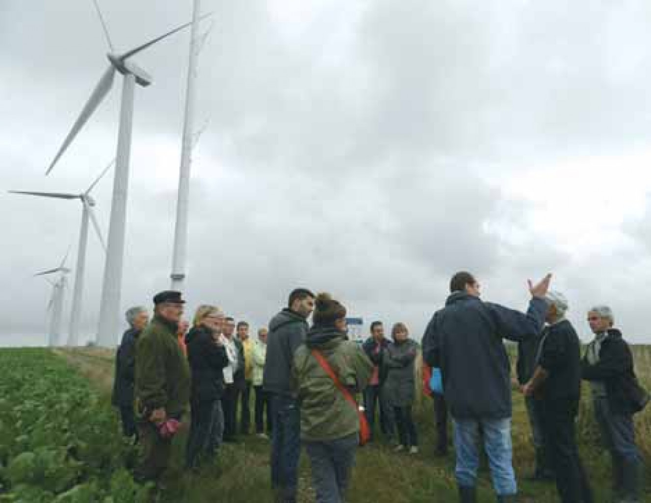 Le parc éolien du Petit-Terroir a été aménagé en 2008.