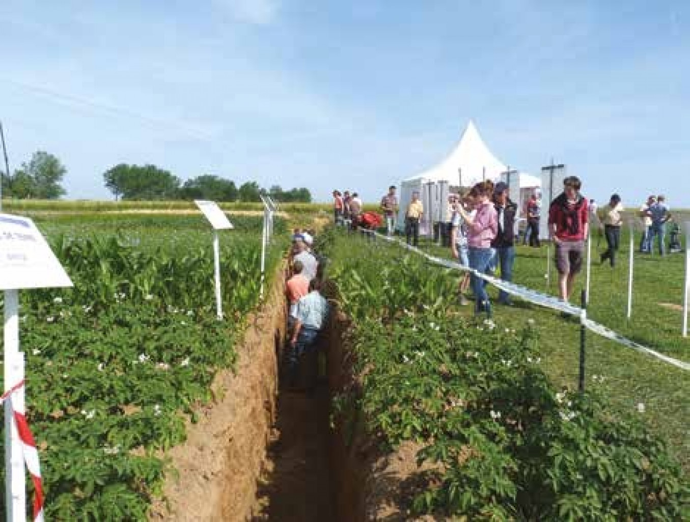 Plus de 12 000 visiteurs se sont promenés sur ce salon plein air de 20 hectares